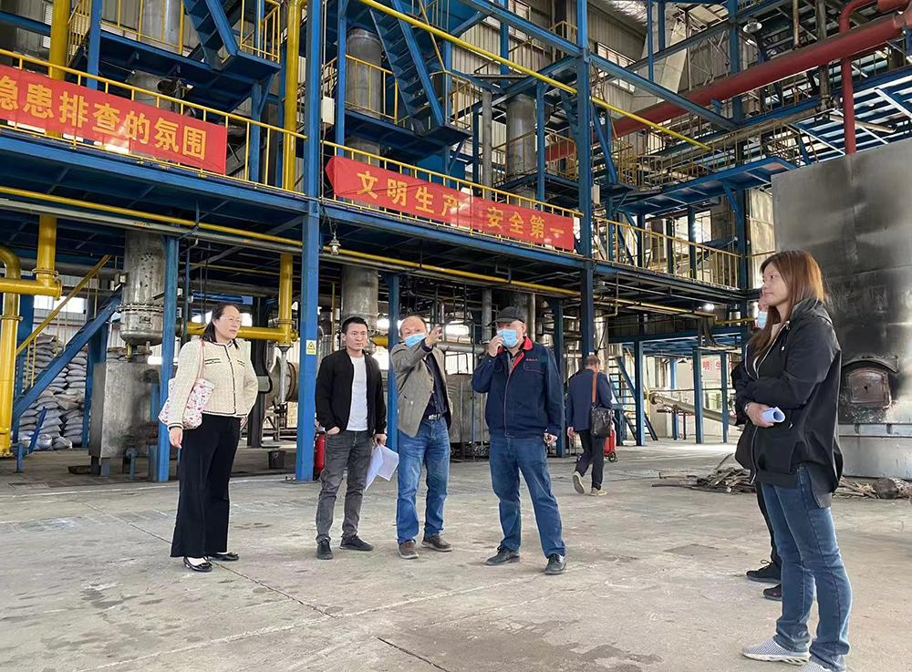 華中科技大學(xué)陳教授及團(tuán)隊與我司在項目現(xiàn)場討論并巡視生物質(zhì)氣化爐項目